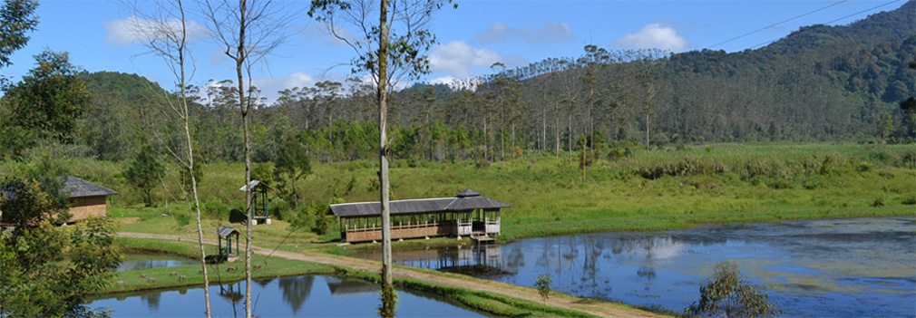 Hotel Ciwidey EMTE Highland Resort